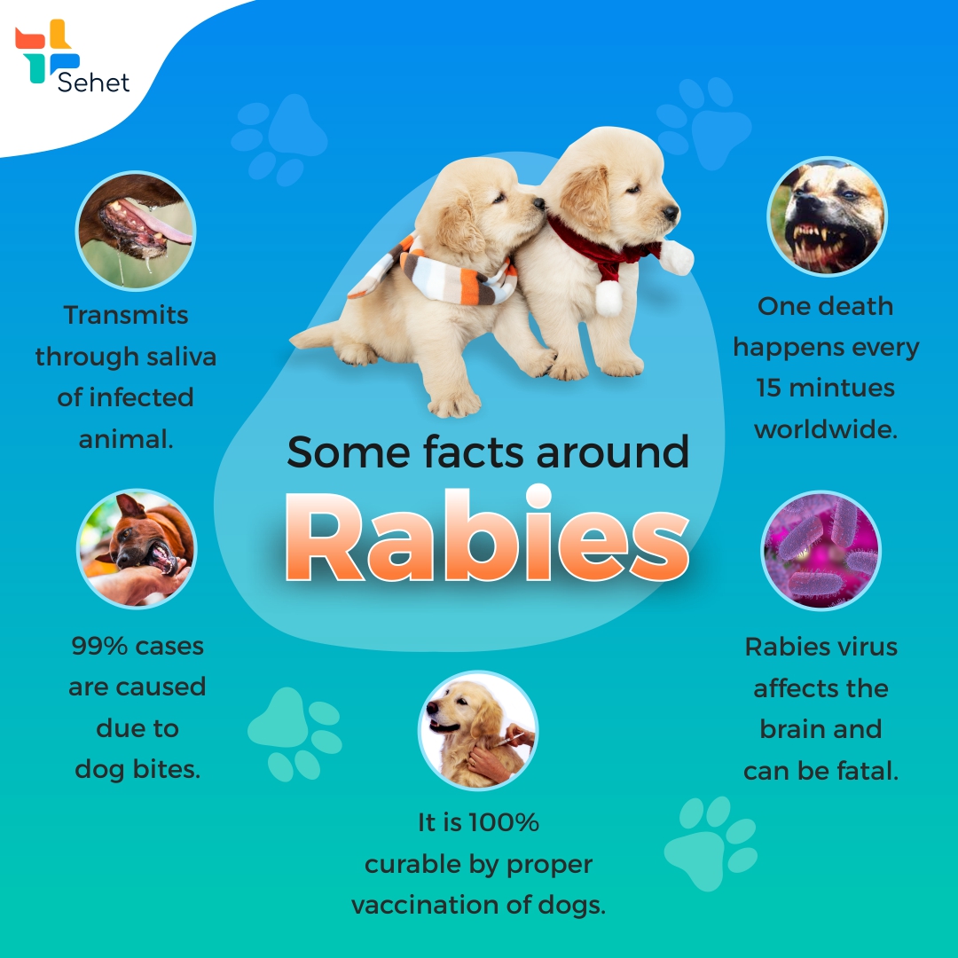 Rabies Facts